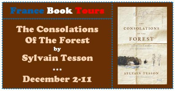 Consolations of the Forest banner
